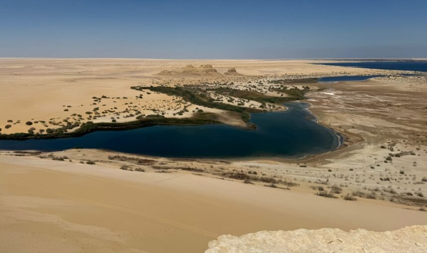 Discover Fayoum: Egypt’s Hidden Oasis of Waterfalls, Fossils, and Living Heritage